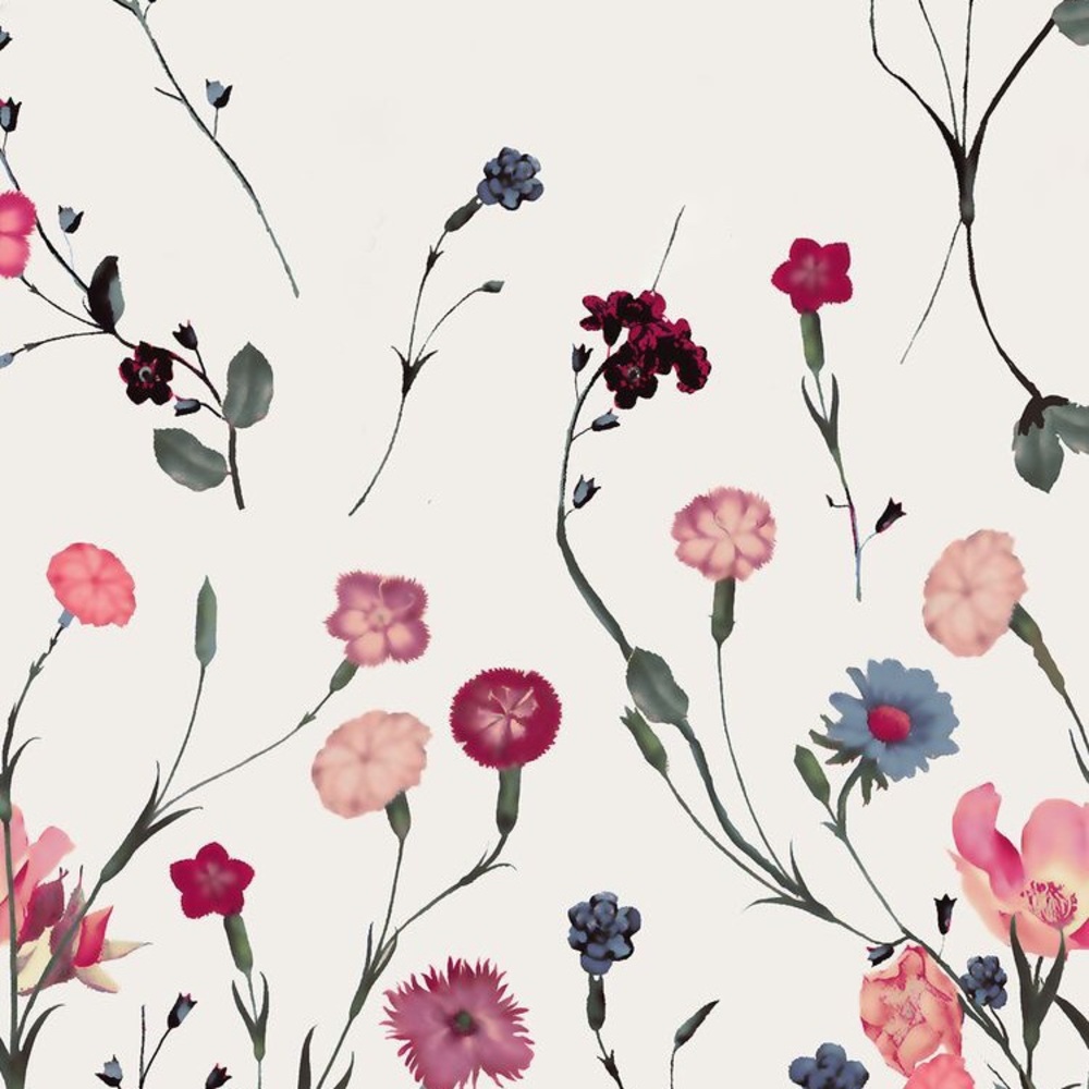 Meet your Posher, Ann marie